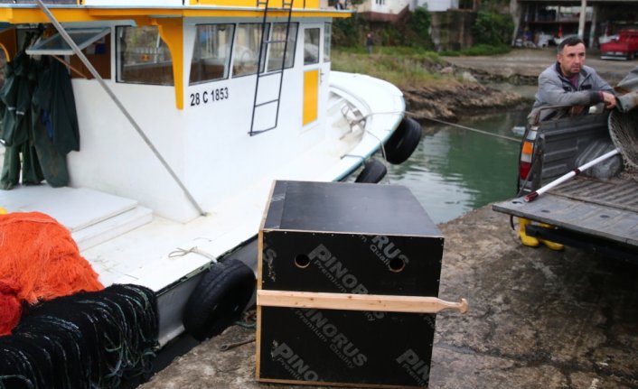 Giresun'da denizdeki ayı yavrusu balıkçılar tarafından kurtarıldı