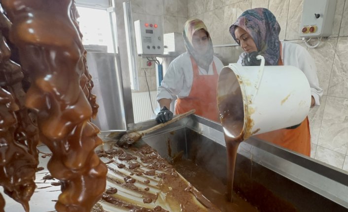Giresun'un tescilli Şebin cevizinde hasat başladı