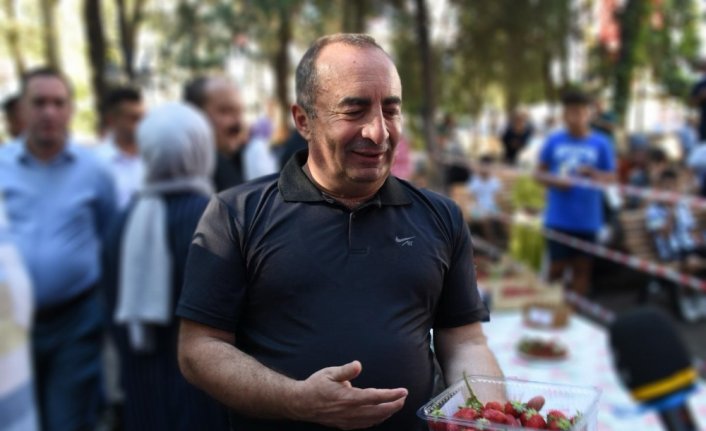 İskilip çileği coğrafi işaretle tescillendi