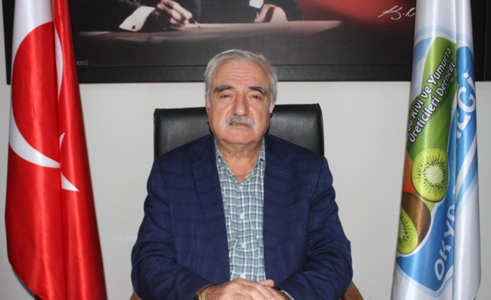 Ordu'da kivi fiyatları belirlendi