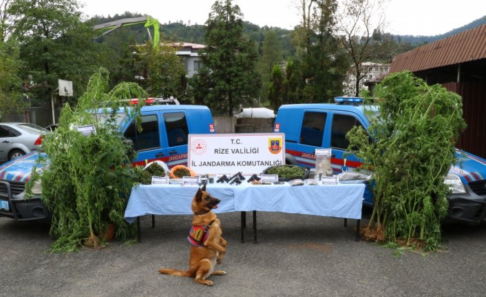 Rize'de 5 ilçede yapılan uyuşturucu operasyonunda 14 zanlı yakalandı
