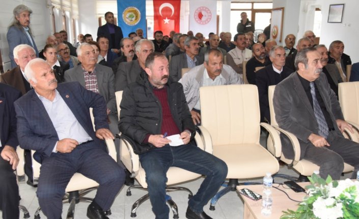 Sakin Şehir Şavşat'ta orman zararlılarıyla mücadele devam ediyor