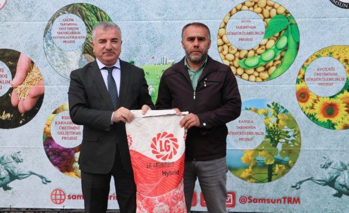 Samsun'da çiftçilere kanola tohumu dağıtıldı