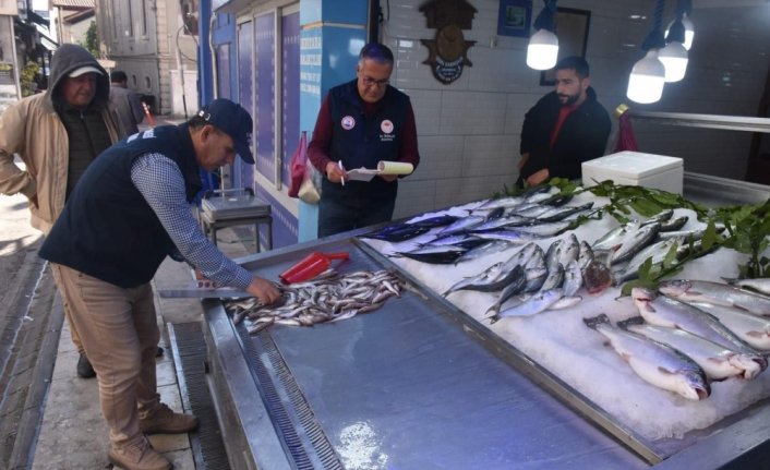 Sinop'ta balık satış yerlerinde denetim yapıldı