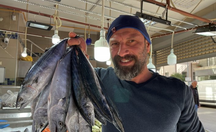 Sinop'ta balıkçı tezgahları hamsi ve palamutla doldu