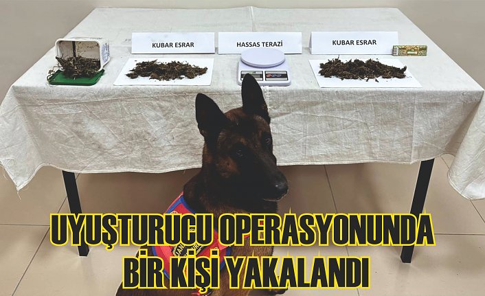 Uyuşturucu operasyonunda bir kişi yakalandı