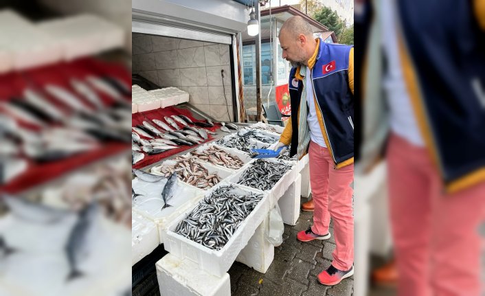 19 Mayıs'ta balıkçılık sektörü denetlendi