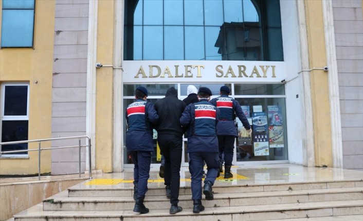 Artvin'de 15 düzensiz göçmen yakalandı