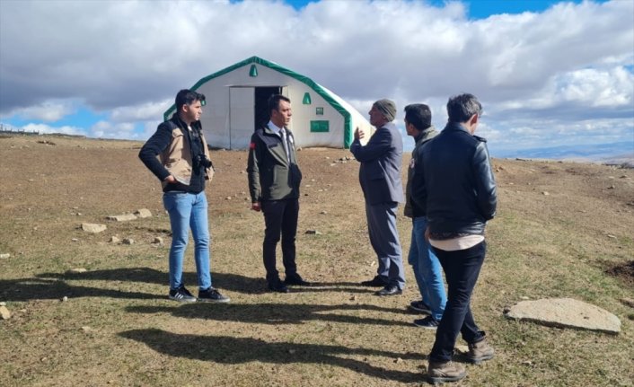 Bayburt'ta ağıla giren kurtlar 200 koyunu telef etti