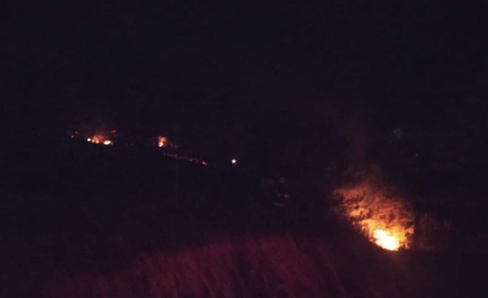 Bolu'da çıkan örtü yangını söndürüldü