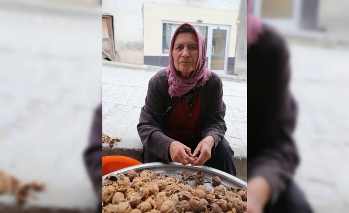 Coğrafi işaretli Niksar cevizini kadınlar kırarak kabuklarından ayırıyor