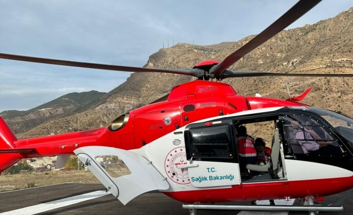 Gümüşhane'de ayı saldırısına uğrayan kişi yaralandı