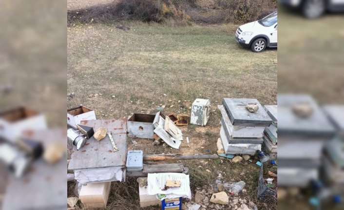 Karabük'te ayılar arı kovanlarına zarar verdi