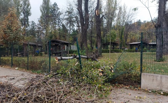 Karabük'te sağanak ve şiddetli rüzgar