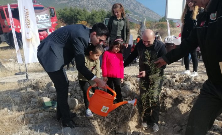 Kargı'da anaokulu öğrencileri fidan dikti