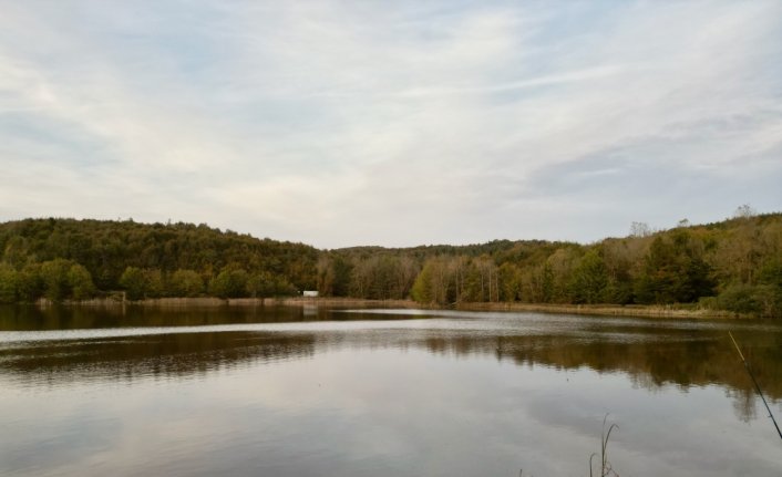 Korugöl Tabiat Parkı'nda sonbahar renkleri hakim