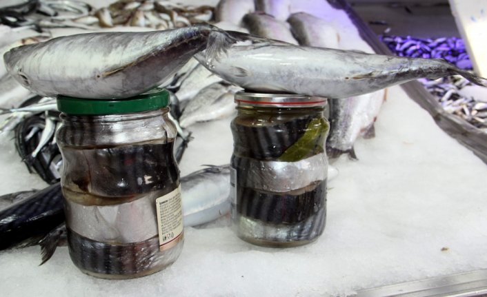 Sinop'ta lakerda festivali 17-19 Kasım'da yapılacak