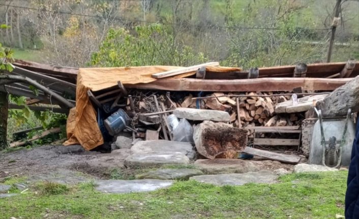 Sinop'ta şiddetli rüzgarda çöken ambarın altında kalan kadın öldü