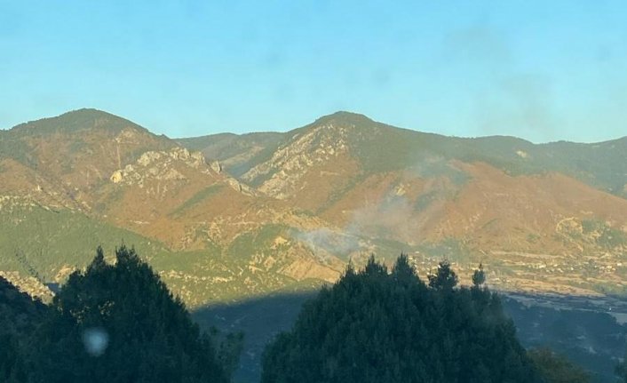 Sinop'ta yangında 1 hektar ormanlık alan zarar gördü