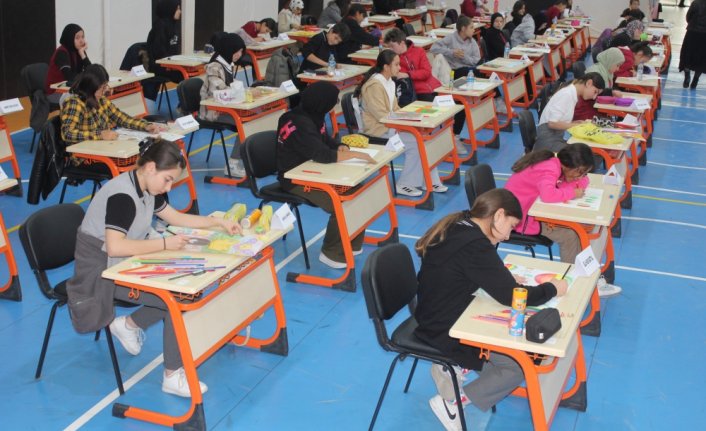 Suluova'da canlı performans resim yarışması düzenledi