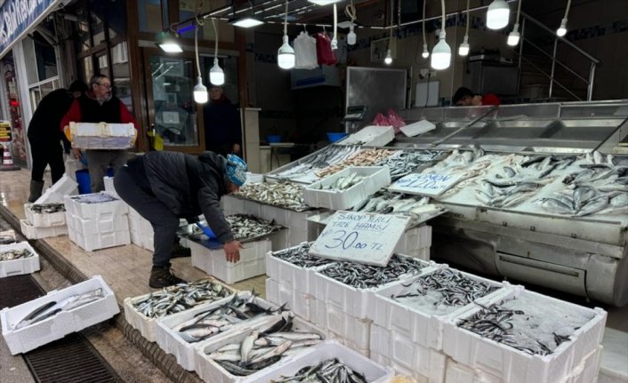 Karadeniz'de deniz suyu sıcaklığı düştü avcılık arttı