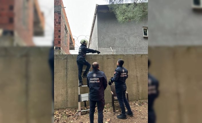 Samsun'da askeri alanda tellere takılan kediyi itfaiye ekipleri kurtardı