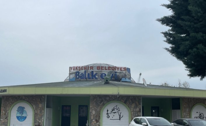 Samsun'da baca yangını söndürüldü