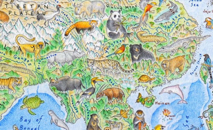 Yeni Zelandalı sanatçı vahşi hayvanları dünya haritası üzerinde resmetti