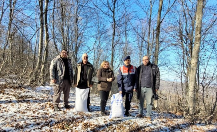 Amasya'da yaban hayvanları için doğaya 750 kilogram yem bırakıldı
