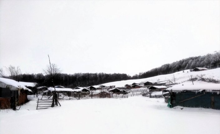 Amasya'nın yüksek kesimlerinde kar etkili oldu