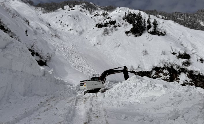 Artvin'de karla mücadele çalışmaları devam ediyor