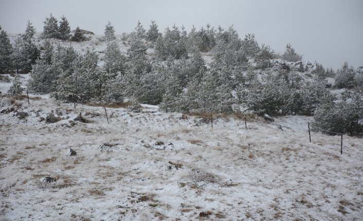 Başçiftlik ilçesinde kar yağışı, yüksek kesimleri beyaza bürüdü