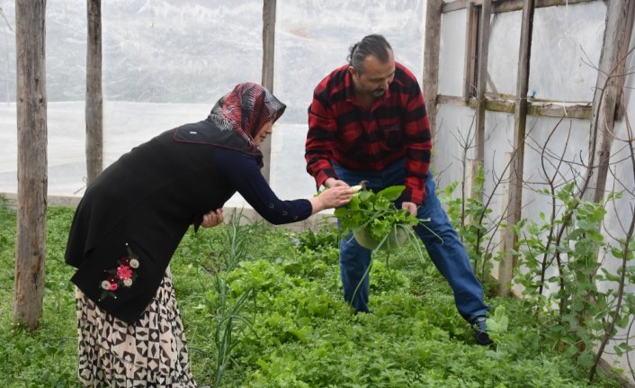 Eşinin sağlığına kavuşması için böbreğini verdi