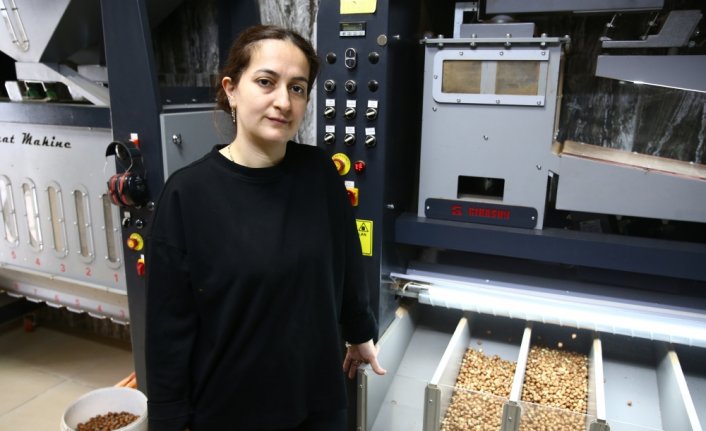 Giresun'da KOSGEB desteğiyle fındık değer kazandı