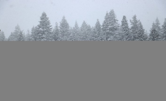 Ilgaz Dağı'nda kar etkili oluyor