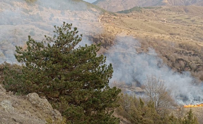 Karabük'te çıkan örtü yangını söndürüldü