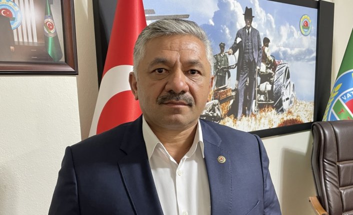 Ordu'da fındığın kilogramı 115 liradan işlem görüyor