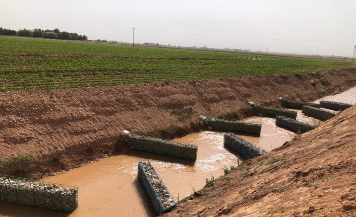 Perdeli yapay sulak alan sistemi tarımda su israfını azaltıyor