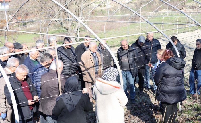 Safranbolu'da bağcılık kursu açıldı