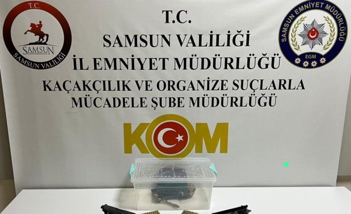 Samsun'da bir evde boa yılanı ele geçirildi