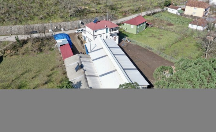 Şehir hayatını bırakıp memleketinde besici oldu