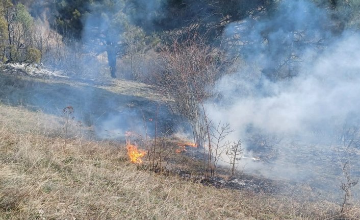 Yeniçağa'da çıkan anız yangını ormana sıçramadan söndürüldü