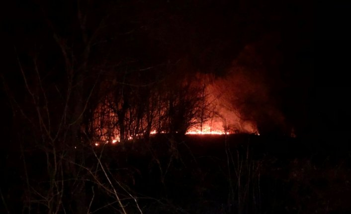 Zonguldak'ta çıkan örtü yangını söndürüldü