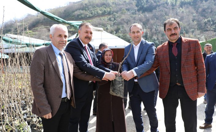 Akçaabat'ta çiftçilere ücretsiz meyve fidanı