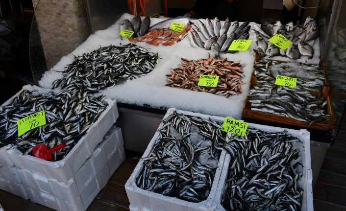 Akçakoca'da balık fiyatları düştü