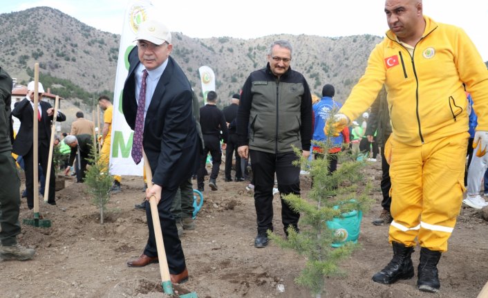 Amasya'da 500 fidan toprakla buluşturuldu
