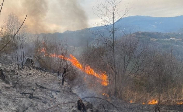 Artvin'de orman yangınında 1 hektar alan zarar gördü