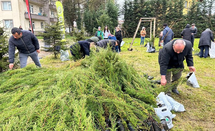 Bafra'da vatandaşlara fidan dağıtıldı