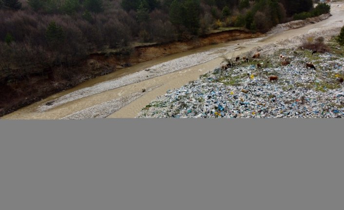 Bolu'da eski çöp döküm sahasındaki atıklar kirliliğe neden oldu