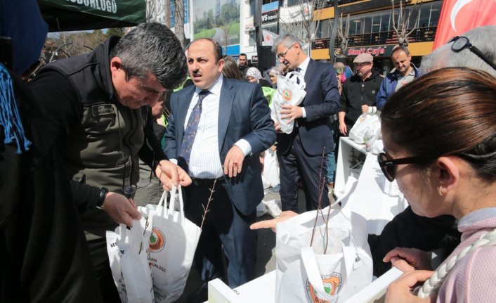 Bolu'da vatandaşlara fidan dağıtıldı